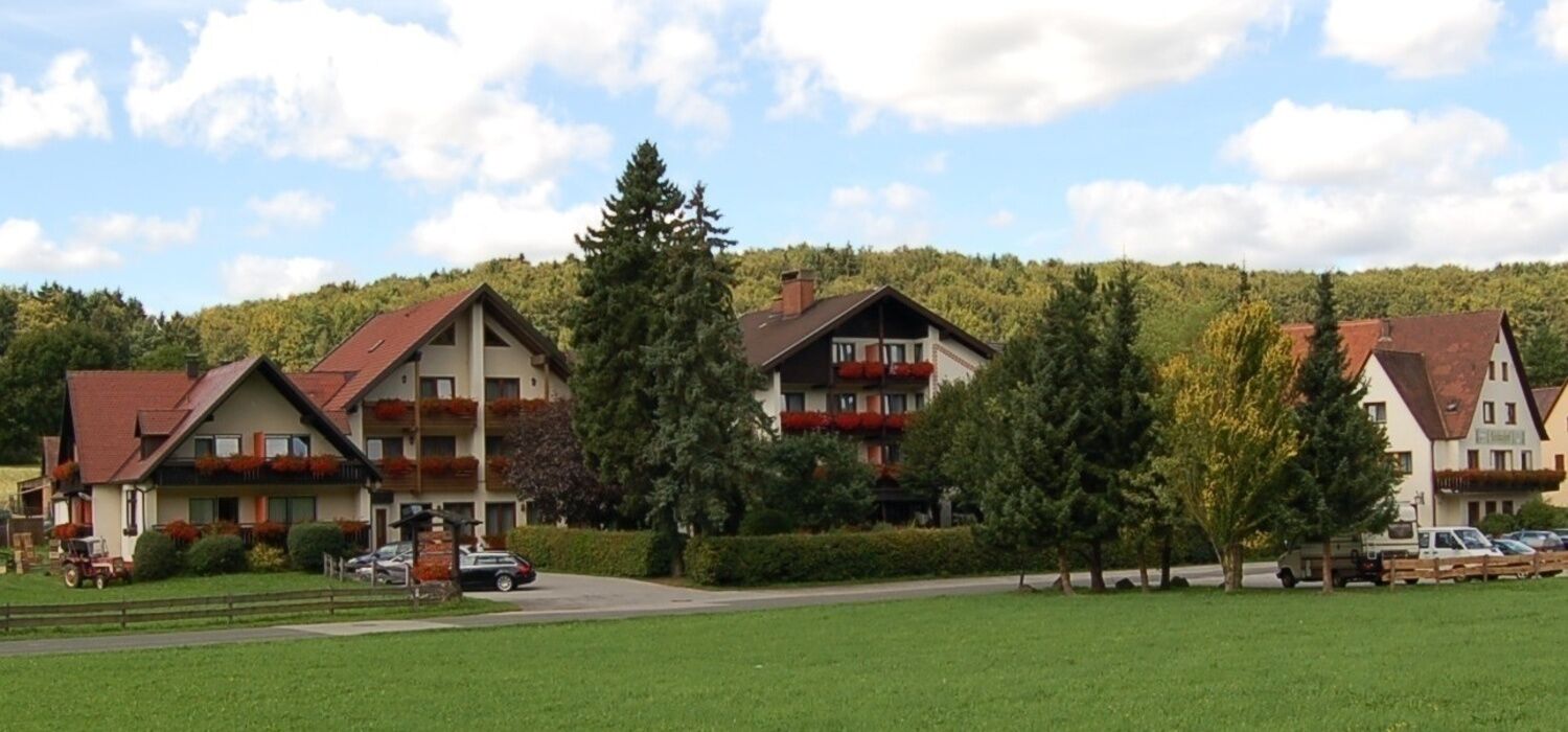 Ringhotel Gams Hotel